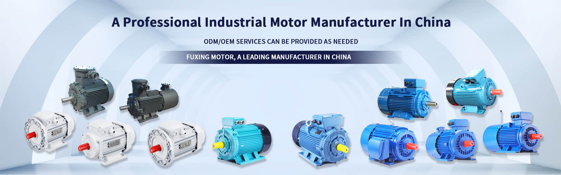 Fuxing Electric Motor